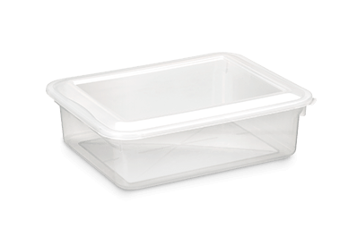Caixa Organizadora Bioprátika com Tampa 5l ref0320 pleion