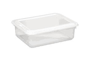 Caixa Organizadora Bioprátika com Tampa 5l ref0320 pleion