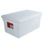 Caixa organizadora biopratika c/tampa 8l ref.0512 pleion